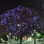 Richard Sabisch - @richardsabisch - Instagram