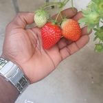 Eric K. Sackey - @erick.sackey - Instagram