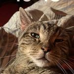 Eric Sacks - @exciting_man_ - Instagram