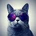 Eric Saez - Facebook