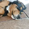 Eric_Sager - @eric_sager - TikTok