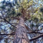Eric Sager - @esagerco2 - Instagram