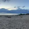 Eric Sanborn652 - @justdreamin79 - TikTok