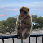 Eric Sandberg - @sandberg_eric - Instagram