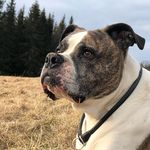 Eric Sandberg - @eric.sandberg.336 - Instagram