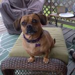 Eric Sands - @diehardsensfan - Instagram