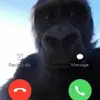 Eric 🦫 - @ericsasasaqui - TikTok
