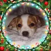ericasattler957 - @ericasattler957 - TikTok