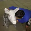 Eric Saucedo  - @eric.ssh - TikTok