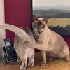 ericsauer0 - @ericsauer0 - TikTok