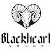 Eric Sauter - @blackheartsound - TikTok