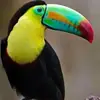 Eric Steinvorth Sauter - @eric19532 - TikTok