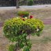 Eric Zetor - Facebook