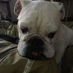 Eric Sayers - @ericsayers - Instagram