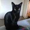 eric schaff - @eric.schaff - TikTok