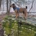 Eric Schaffer - Facebook