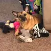 ericschaffer967 - @ericschaffer967 - TikTok