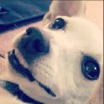 Eric Schaffner - @der_schaffner - Instagram