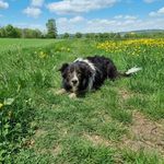 Eric Schaller - @schallereric - Instagram
