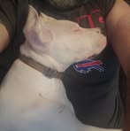 Eric Scheutzow - Facebook