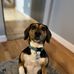 Eric Schmitz - Facebook