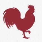 Eric Schmitz - @risemarketingwisco - Instagram