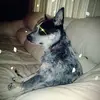Eric Schmitz - @ericschmitz04 - TikTok