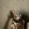 ericschmitz579 - @ericschmitz579 - TikTok