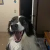 Eric Schebel - @ericschebel - TikTok