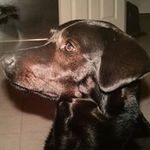 Eric Scholz - @ericscholz - Instagram