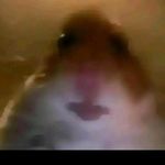 Eric schramm - @schramm1768 - Instagram