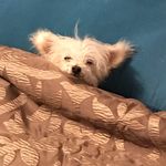 Eric Schreiner - @faded_135 - Instagram