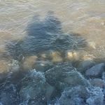 Eric Schreiner - @eschrein34 - Instagram