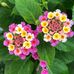 Eric Schroder - Facebook