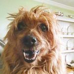 Eric Schuhmacher - @ericschuhmacher2487 - Instagram