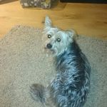 Eric Schutte - @eric_schutte11 - Instagram