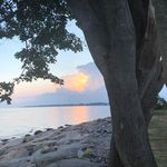 Eric Schwarzkopf - @eric.schwarzkopf - Instagram