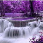 Eric L Schweers - @eschweers - Instagram