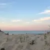 ericschweikert2 - @ericschweikert2 - TikTok