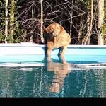 Eric Scruggs - @escrugg - Instagram