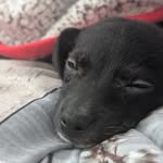 Eric seabrook - @ericseabrook - Instagram