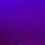 Eric Seay - @ericseay65 - Instagram