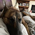 Eric Seeberger - @eric.seeberger.5 - Instagram