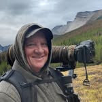 Eric Seemann - @eswildlifephotoimages - Instagram