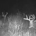 Eric Seideman - Facebook
