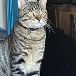 Eric Severson - @eric.severson.710 - Instagram