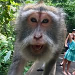 Eric Sewell - @emojoeric - Instagram