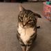 Eric Sewell - Facebook
