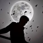 ꧁༺𝑀𝒹 𝒮𝒽𝒶𝒽𝒾𝒹 ꧂ - @maverick.shahid1 - Instagram