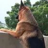 ericshahid840 - @ericshahid8 - TikTok